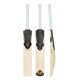 SG HP Icon English Willow Cricket Bat