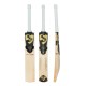 SG HP T-20 English Willow Cricket Bat SG HP T-20 English Willow Cricket Bat