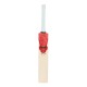 SG KLR Icon English Willow Cricket Bat