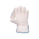SG Tournament Wicket Keeping Gloves SG Tournament Wicket Keeping Gloves