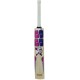 SS BLASTER English Willow Cricket Bat
