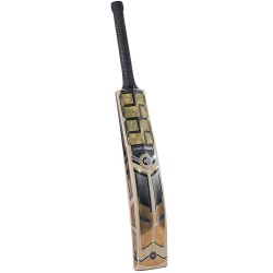 SS BRONZE 3.0 Kashmir Willow Cricket Bat