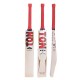 SS GOLD EDITION ??SS Junior English Willow Cricket Bat