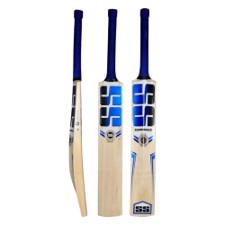 SS IMPACT Kashmir Willow Cricket Bat