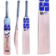 SS PLAYER DRS Kashmir Willow Cricket Bat SS PLAYER DRS Kashmir Willow Cricket Bat