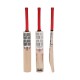 SS RANGER Kashmir Willow Cricket Bat SS RANGER Kashmir Willow Cricket Bat