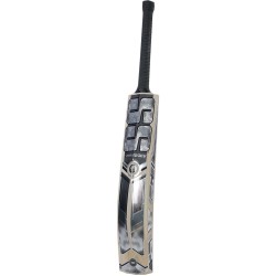 SS SILVER 3.0 Kashmir Willow Cricket Bat