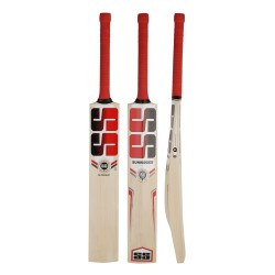 SS SLOGGER Kashmir Willow Cricket Bat
