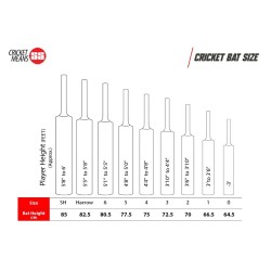 SS THALA Kashmir Willow Cricket Bat SS THALA Kashmir Willow Cricket Bat