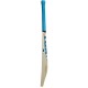 SS TON BLASTER Kashmir Willow Cricket Bat SS TON BLASTER Kashmir Willow Cricket Bat