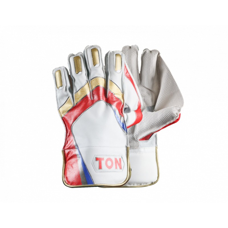 SS TON PRO 1.0 Wicket Keeping Gloves