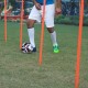 Nivia Agility Stick (Per Pc.)