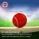 Nivia Cricket Tennis Ball Heavy (Pack of 12)—Red - Red