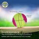 Nivia Cricket Tennis Ball Light (Pack of 12) - Multicolor