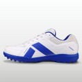 White/Blue White/Blue