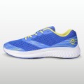 Royal Blue Royal Blue