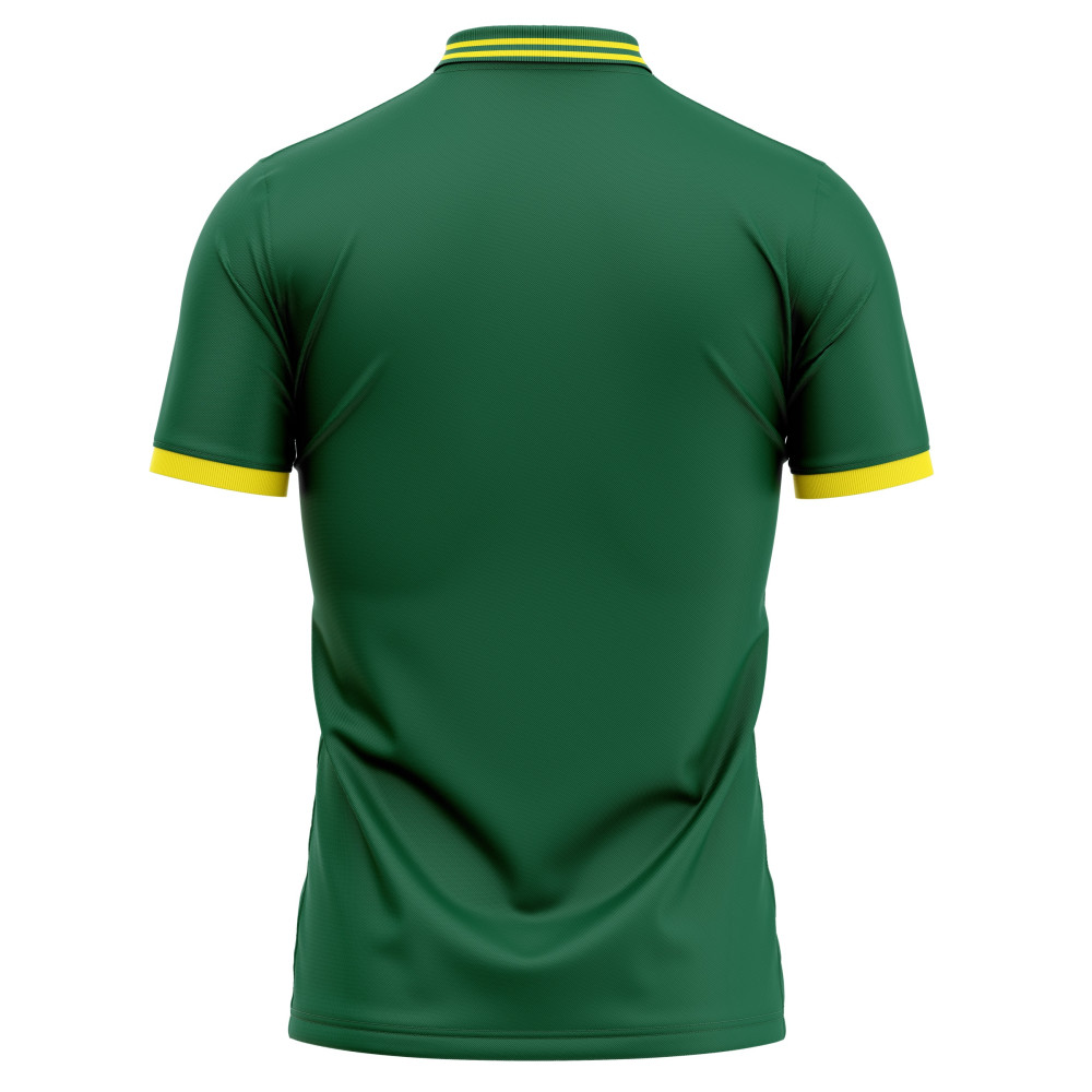South Africa ODI World Cup 2023 Half Sleeves Cricket Fan Jersey - 100% Dryfit Polyester - With Name Personalisation South Africa ODI World Cup 2023 Half Sleeves Cricket Fan Jersey - 100% Dryfit Polyester - With Name Personalisation