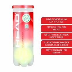 HEAD Championship Tennis Ball Carton (72 Balls)