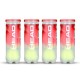 HEAD Championship Tennis Ball Dozen (12 Balls) HEAD Championship Tennis Ball Dozen (12 Balls)