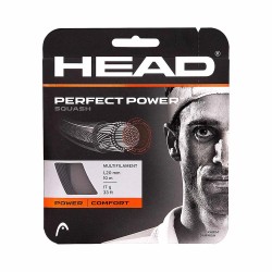 HEAD Perfect Power Squash String Set