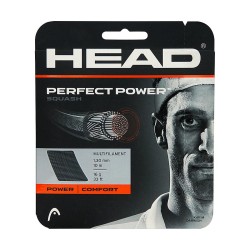 HEAD Perfect Power Squash String (Cut From Reel, 16L Black)