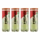 HEAD Padel Team Ball Dozen (12 Balls)