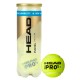 HEAD Padel Pro S+ Ball Can (3 Balls) HEAD Padel Pro S+ Ball Can (3 Balls)