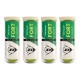 DUNLOP Fort All Court Tennis Ball (12 Balls) DUNLOP Fort All Court Tennis Ball (12 Balls)