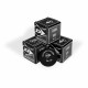 DUNLOP Competition Single Dot Yellow Squash Ball (3 Pcs) DUNLOP Competition Single Dot Yellow Squash Ball (3 Pcs)