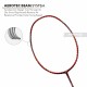 LI-NING Ignite 8 Badminton Racquet (Dark Red/Rich Gold, Unstrung) LI-NING Ignite 8 Badminton Racquet (Dark Red/Rich Gold, Unstrung)
