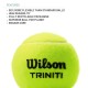 WILSON Triniti All Court Tennis Ball Can (3 Balls)