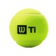 Wilson Titanium All Court Tennis Ball Can (3 Balls)