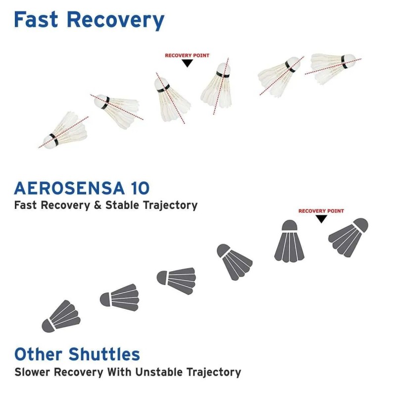 YONEX As 10 Badminton Shuttlecock
