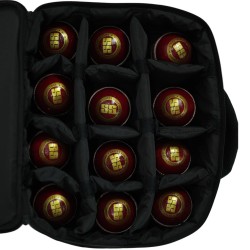 SS 12 Ball Case SS 12 Ball Case