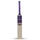 SS Blast English Willow Cricket Bat