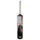 SS Catch Practice English Willow Cricket Bat