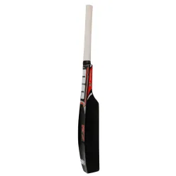 SS Catch Practice English Willow Cricket Bat