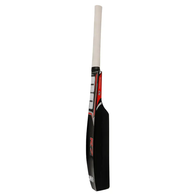 SS Catch Practice English Willow Cricket Bat