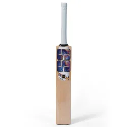 SS Champion English Willow Cricket Bat