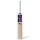 SS Dynasty English Willow Cricket Bat