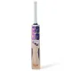 SS Dynasty English Willow Cricket Bat