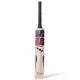 SS GLADIATOR English Willow Cricket Bat