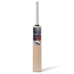 SS Professional Bats English Willow Cricket Bat