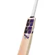 SS Storm English Willow Cricket Bat