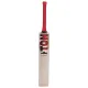 SS Ton Gold Edition English Willow Cricket Bat