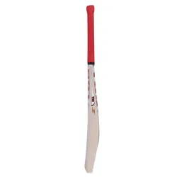 SS Ton Gold Edition English Willow Cricket Bat SS Ton Gold Edition English Willow Cricket Bat
