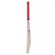 SS Ton Gold Edition English Willow Cricket Bat