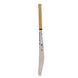SS Ton Legend English Willow Cricket Bat SS Ton Legend English Willow Cricket Bat