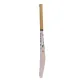SS Ton Legend English Willow Cricket Bat