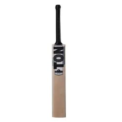 SS Ton Silver Edition English Willow Cricket Bat